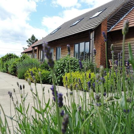 Elm Tree Farm Accommodation Milton Keynes Luaran gambar